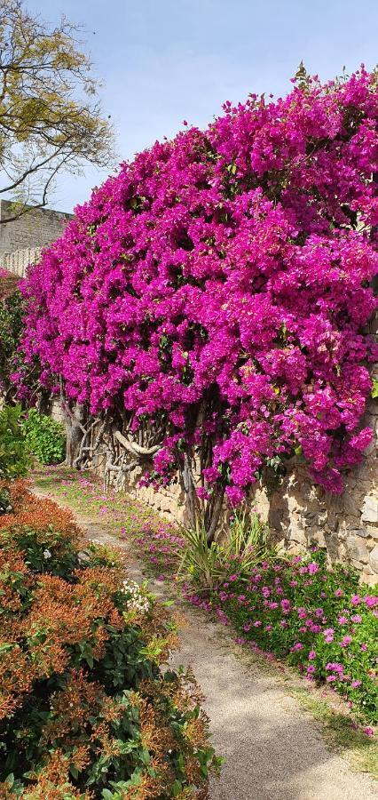 Cosy Tavira Holidays מראה חיצוני תמונה
